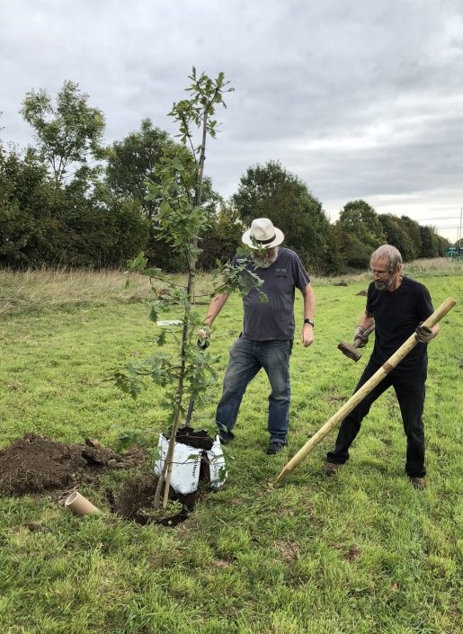 Two people are planting a young tree in a grassy field. One person holds the tree steady while the other uses a mallet to drive a wooden stake into the ground beside the tree. The sky is overcast and trees line the background.