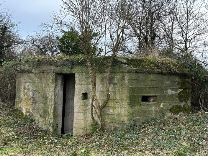 A small, weathered concrete bunker with narrow rectangular openings stands among overgrown grass and leafless trees, its flat roof partially covered with moss and vegetation.