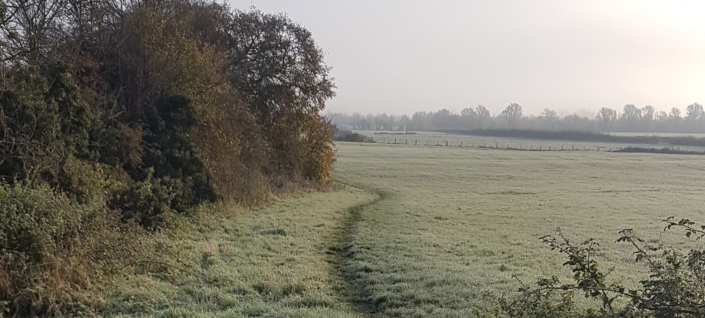 A grassy path curves through a frosty field bordered by leafless trees and shrubs on a misty morning, with distant trees visible under a pale sky.